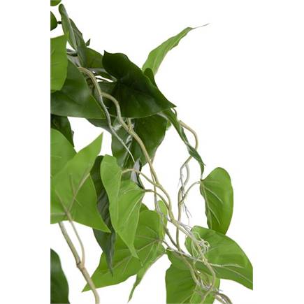 Coco Maison Philodendron Scandens H80cm kunstplant